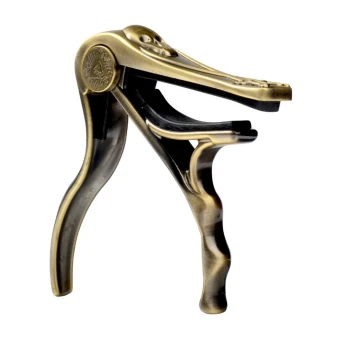 Alice A007H/BR Череп и кости