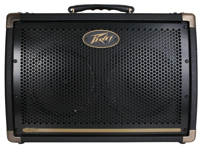Комбопідсилювач Peavey Ecoustic E208 Acoustic Amp Combo