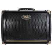 Peavey Ecoustic E208 Acoustic Amp Combo