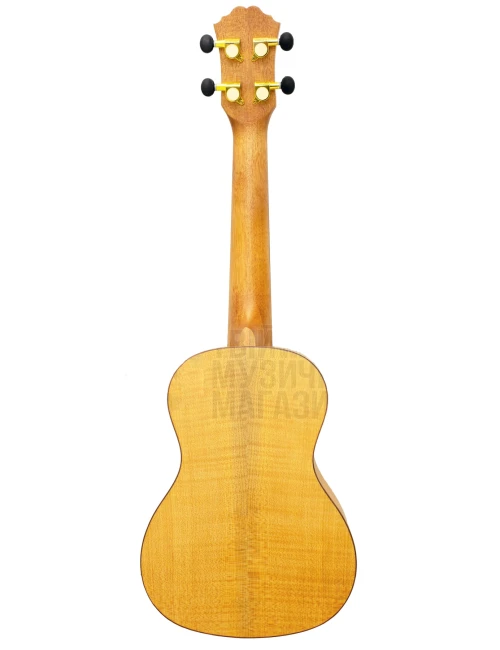 Fzone FZU-063 Concert