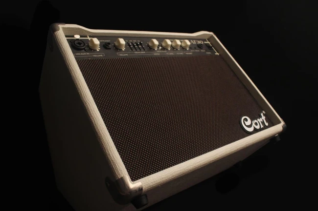 Комбопідсилювач Cort AF30