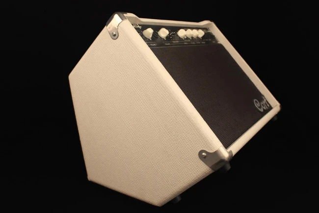 Комбопідсилювач Cort AF30