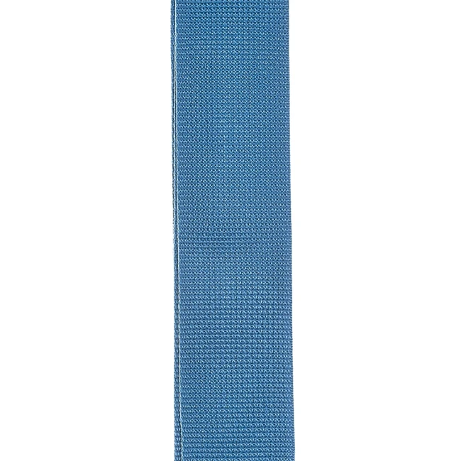 D'Addario PWS102 Polypro Guitar Strap (Blue)