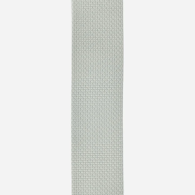 D'Addario PWS105 Polypro Guitar Strap (Silver) D'Addario PWS105 Polypro Guitar Strap (Silver)