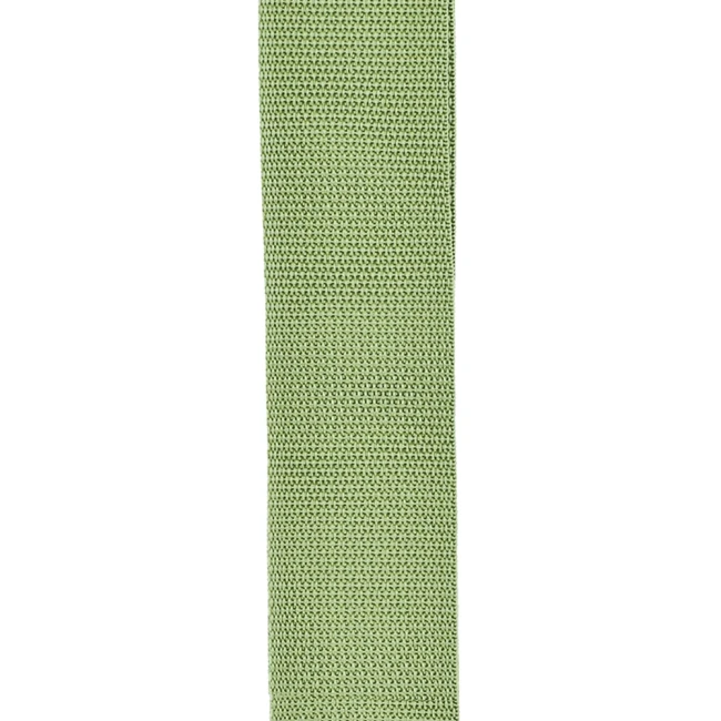 D'Addario PWS107 Polypro Guitar Strap (Green) D'Addario PWS107 Polypro Guitar Strap (Green)