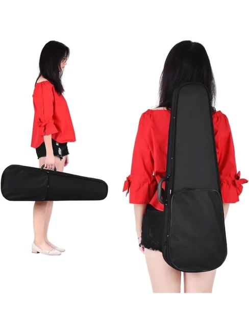 Кейс для скрипки Rafaga PDSJ-01 Black/Red 4/4 Кейс для скрипки Rafaga PDSJ-01 Black/Red 4/4