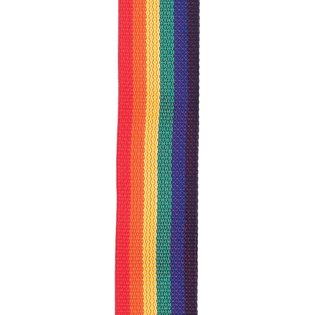 D'Addario PWS111 Polypro Guitar Strap (Rainbow)
