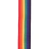 D'Addario PWS111 Polypro Guitar Strap (Rainbow)