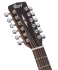 Cort Earth 70-12 (Open Pore)
