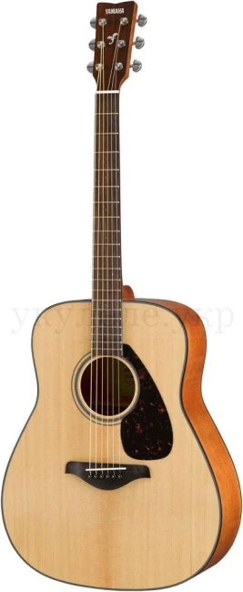 Yamaha FG800 (Natural)