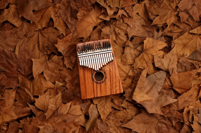 Hluru KG17 Red Rosewood (17 нот, палісандр) Hluru KG17 Red Rosewood (17 нот, палісандр)