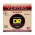 DR VTA-12 VERITAS Coated Core Acoustic Guitar Strings - Light 12-54