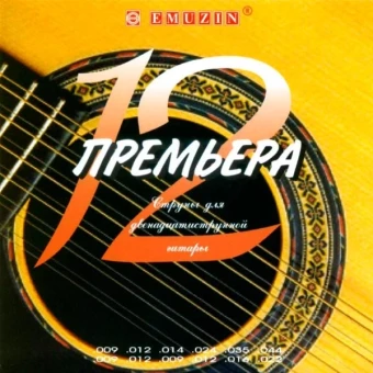 Emuzin 12П-02 ПРЕМЬЕРА Нержавеющая сталь 12-струн 9/44