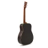 Yamaha FG830 (Autumn Burst)