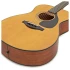 Yamaha FS3