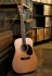 Cort EARTH 100 (Natural Satin)