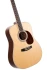 Cort EARTH 100 (Natural Satin)