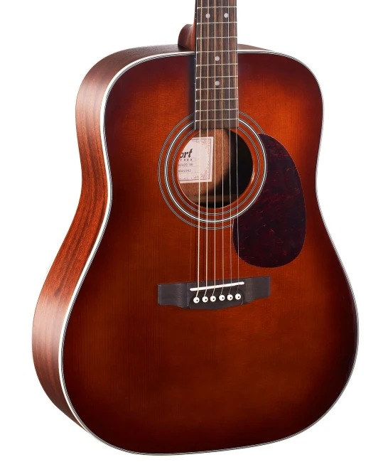 Акустична гітара Cort Earth 70 (Brown)