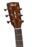 Cort Earth 70 (Brown)