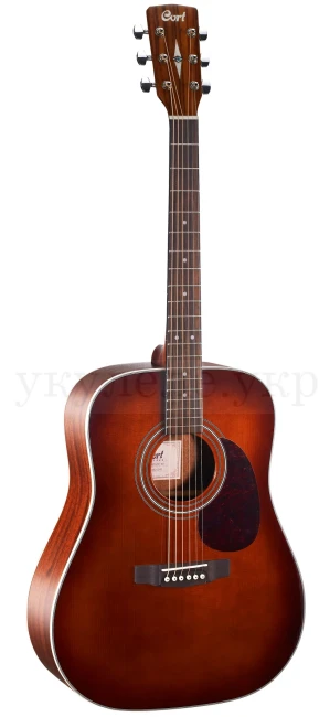 Cort Earth 70 (Brown)