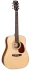 Cort EARTH 70 (Open Pore)