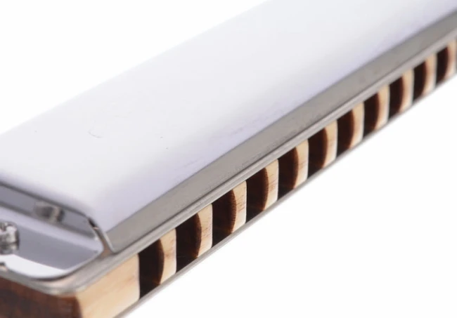 Seydel Solist Pro 12 Steel C Seydel Solist Pro 12 Steel C